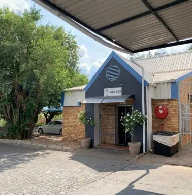 alp africa plant image 378x385 1