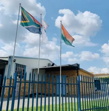 alp africa plant image 378x385 2