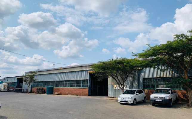 alp africa plant image 644x402 1